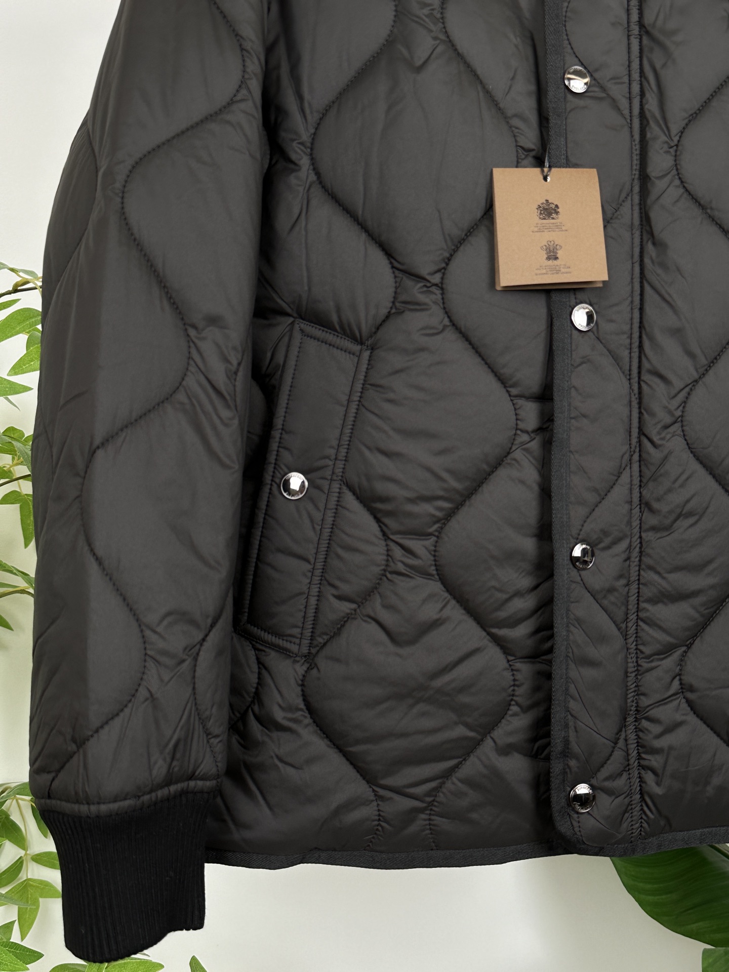 Burberry Down Jackets